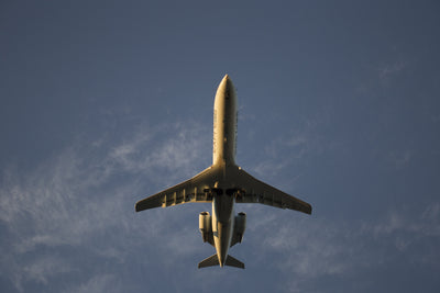 Natch is ready to take off, are you?